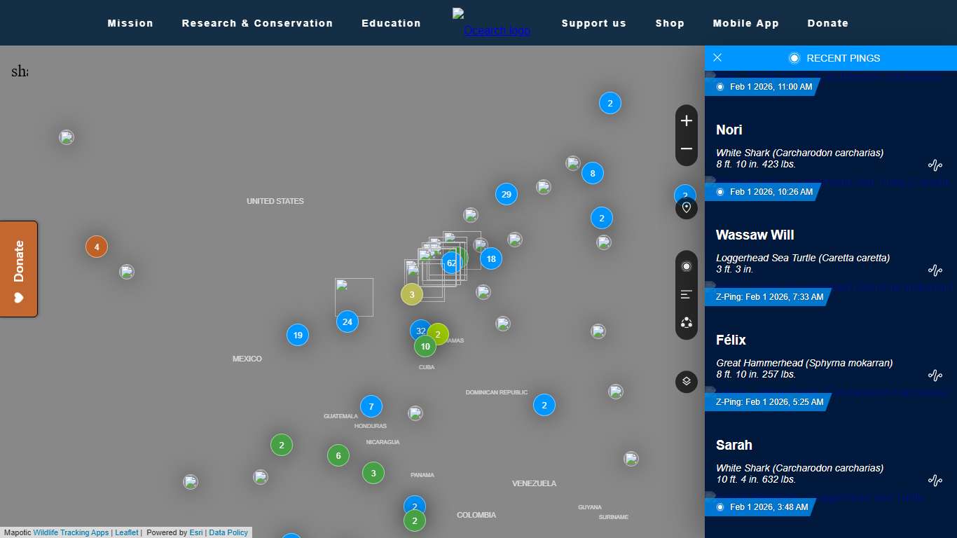 OCEARCH Shark Tracker